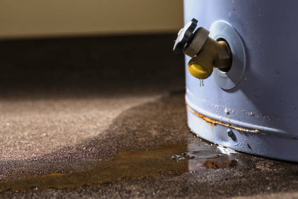Best 24-hour water damage restoration  in Farmer City, IL