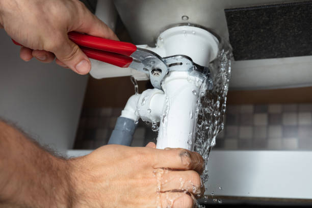 Best Residential water damage restoration  in Farmer City, IL