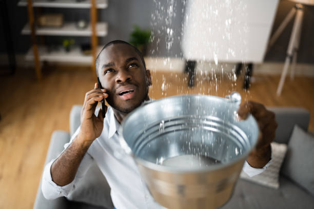 Best Mold removal after water damage  in Farmer City, IL