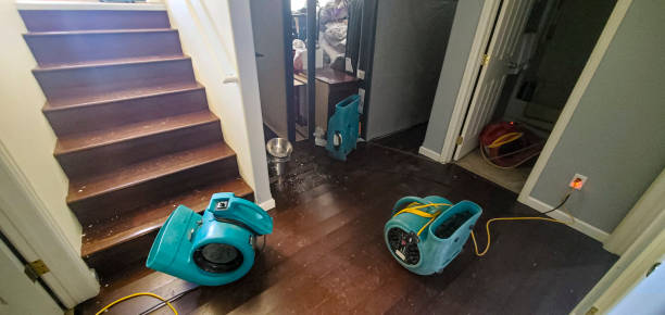 Best Water damage restoration specialists  in Farmer City, IL