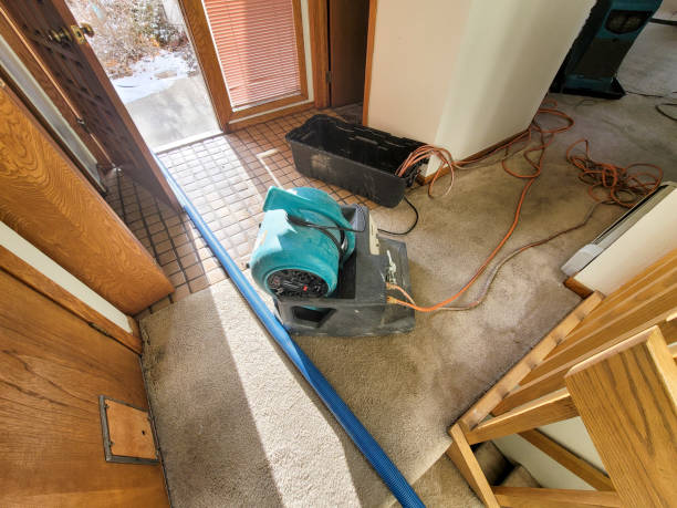 Best Flood restoration services  in Farmer City, IL