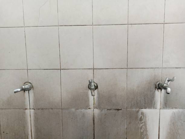 Best 24-hour water damage restoration  in Farmer City, IL