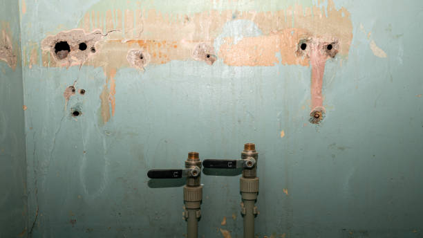 Trusted Farmer City, IL Water damage restoration Experts