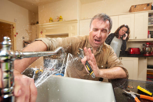 Best Sewage cleanup and water damage restoration  in Farmer City, IL